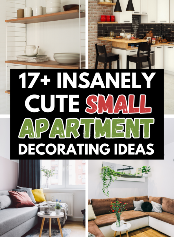 17+ Best Small Apartment Decorating Tips That Will Elevate Your Space