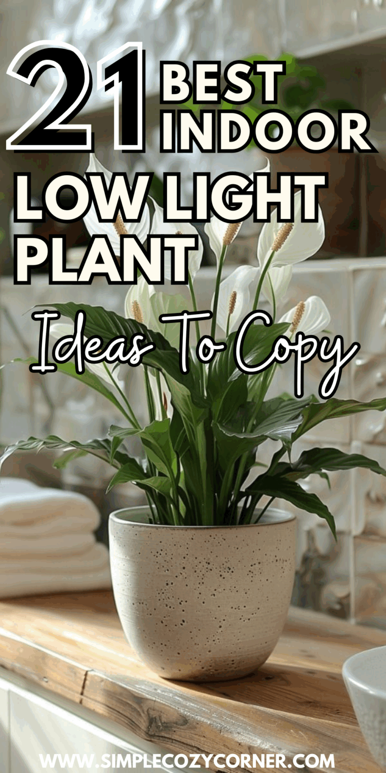 21+ Best Indoor Low Light Plant Ideas To Copy